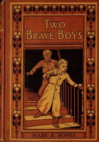 Two brave boys, and, The wrong twin, Mary E. Ropes